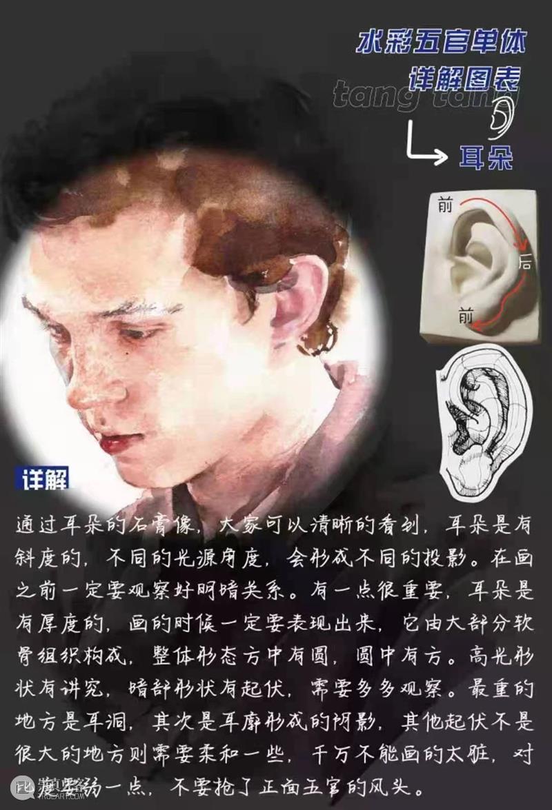 超干！水彩五官单体详解图表 水彩 五官 单体 图表 详解 人像 技巧 艺术 氛围感 前方 崇真艺客