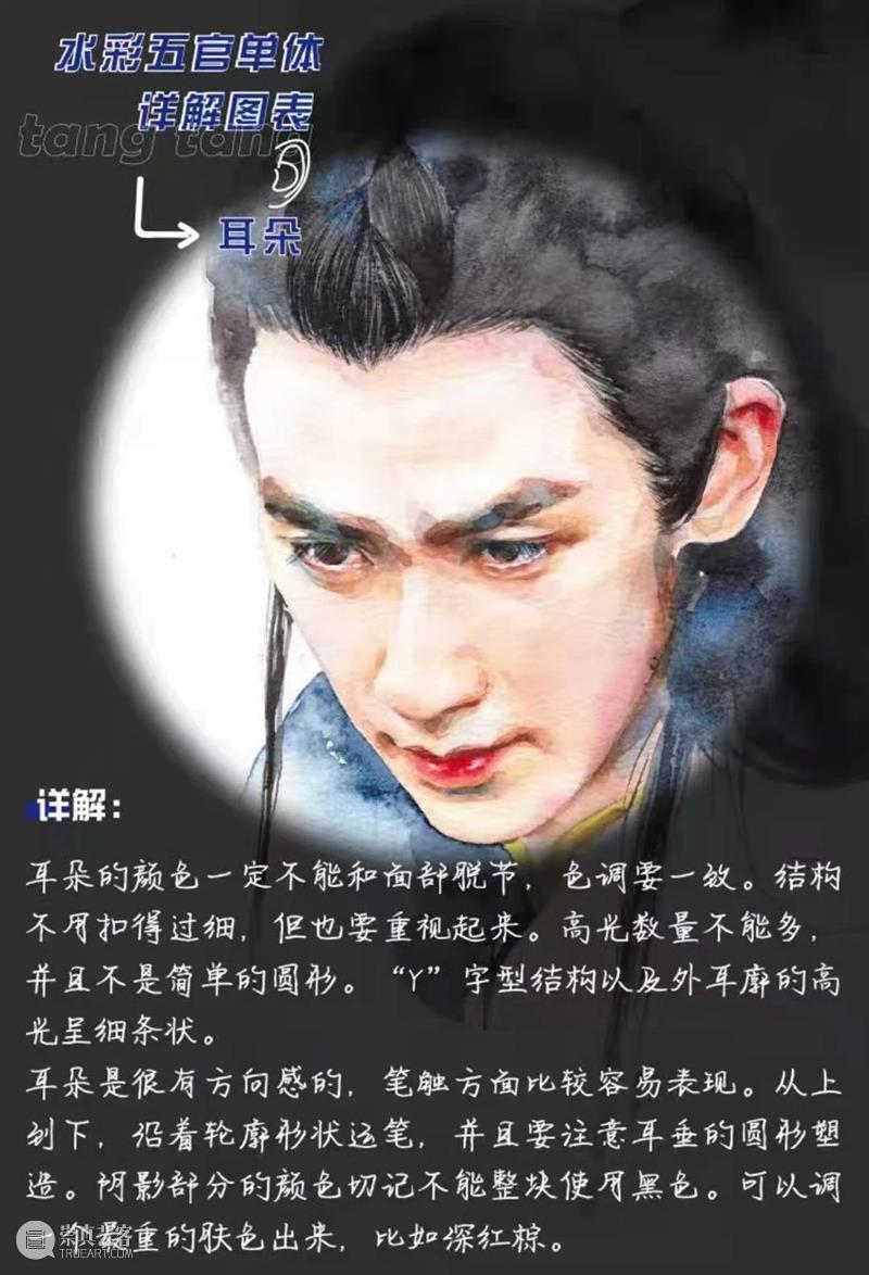 超干！水彩五官单体详解图表 水彩 五官 单体 图表 详解 人像 技巧 艺术 氛围感 前方 崇真艺客