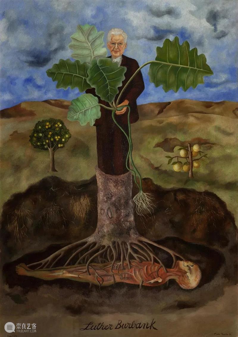 【IFA-艺术赏析】Frida Kahlo |  我不画梦，我只画我的现实 现实 Kahlo 艺术 IFA 墨西哥 画家 画像 作品 内心 社会 崇真艺客