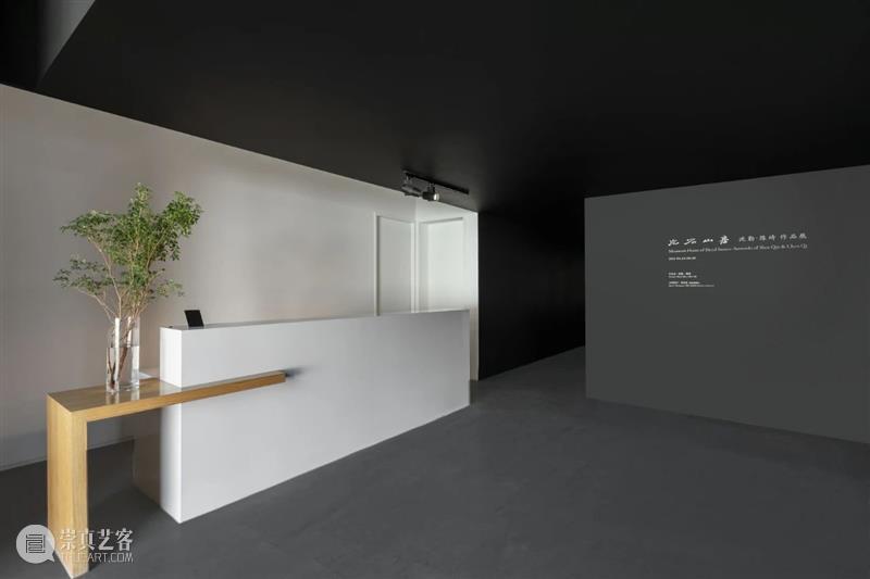 亚洲视频 | 片石山房——沈勤·陈琦作品展 崇真艺客