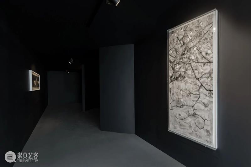 亚洲视频 | 片石山房——沈勤·陈琦作品展 崇真艺客