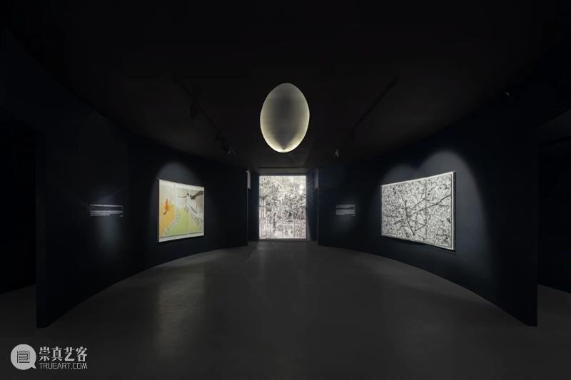 亚洲视频 | 片石山房——沈勤·陈琦作品展 崇真艺客
