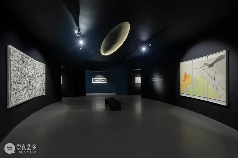 亚洲视频 | 片石山房——沈勤·陈琦作品展 崇真艺客