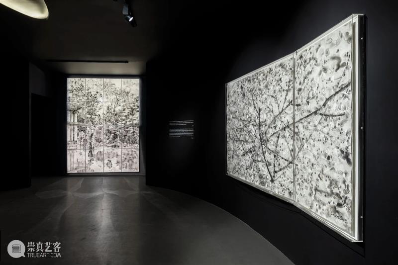 亚洲视频 | 片石山房——沈勤·陈琦作品展 崇真艺客