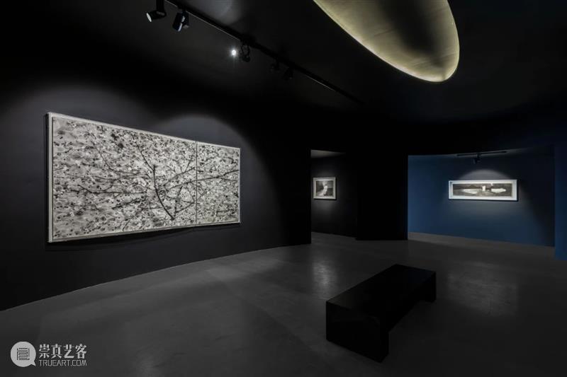 亚洲视频 | 片石山房——沈勤·陈琦作品展 崇真艺客