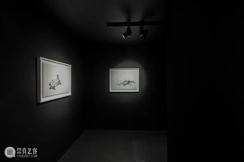 亚洲视频 | 片石山房——沈勤·陈琦作品展 崇真艺客