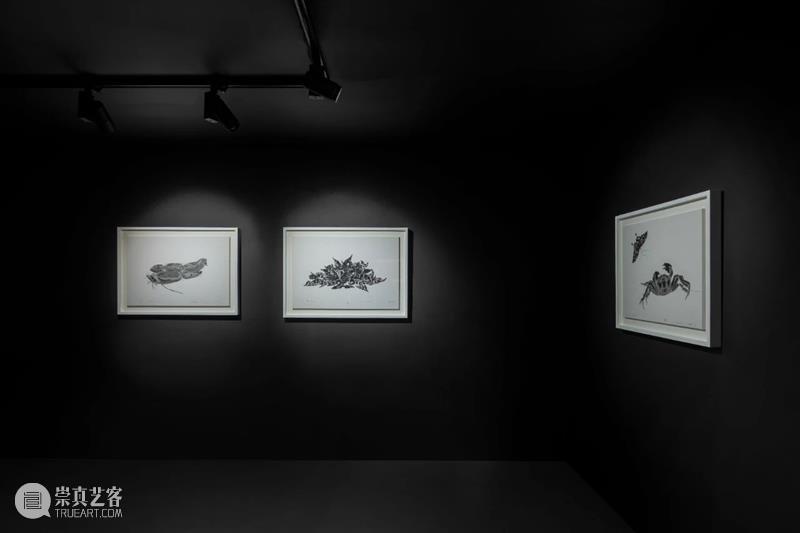 亚洲视频 | 片石山房——沈勤·陈琦作品展 崇真艺客
