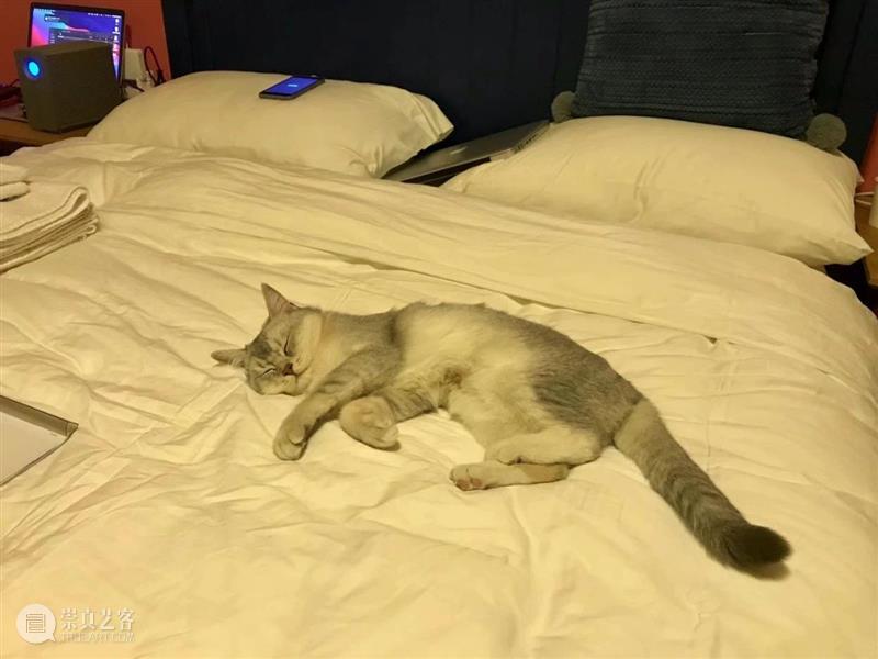 多伦VOICE | VOL.60 姬京璐:西西弗斯的快乐沙丘上容不得半点沙子 多伦 VOICE 姬京璐 西西弗斯 沙丘 沙子 艺术 作品 系列 当前 崇真艺客