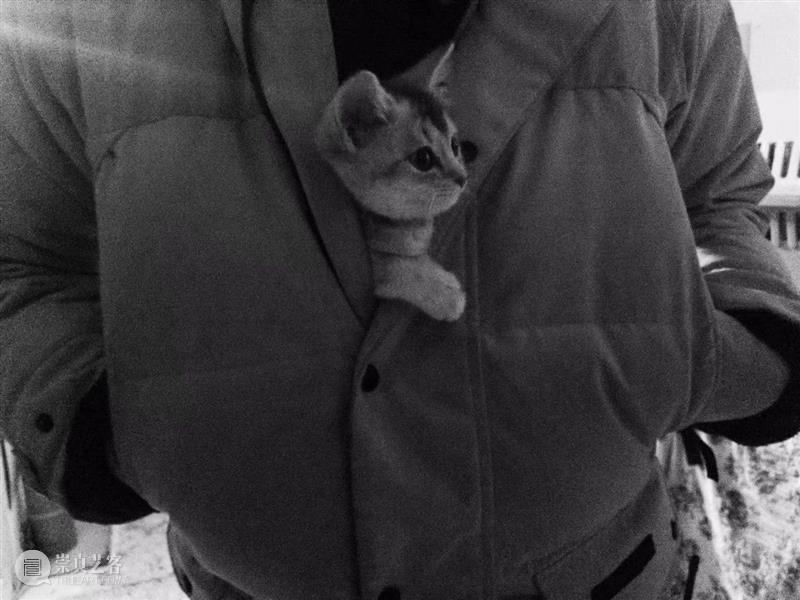 多伦VOICE | VOL.60 姬京璐:西西弗斯的快乐沙丘上容不得半点沙子 多伦 VOICE 姬京璐 西西弗斯 沙丘 沙子 艺术 作品 系列 当前 崇真艺客