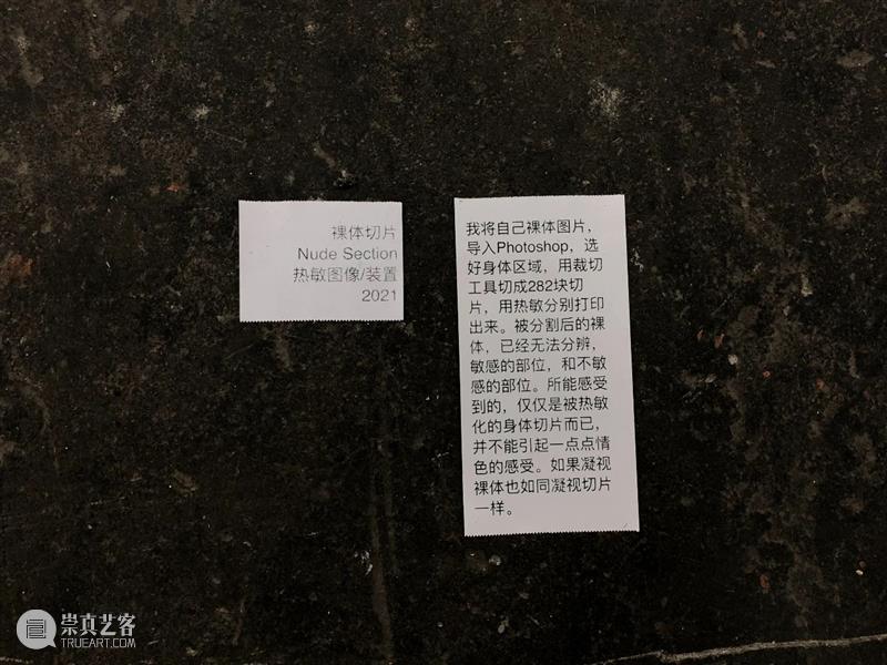 现场 | 陈雪玲：“例外假期”之 “流动的房间“2019-2021 例外 假期 房间 陈雪玲 现场 各地 艺术 项目 生活 状态 崇真艺客