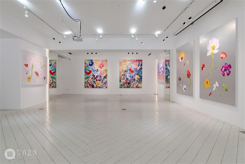 BlueriderDaily 一条直播回放 New LUXE LUXE 程序 创办人 wang 群展 导览 艺术家 作品 理念 之后 崇真艺客