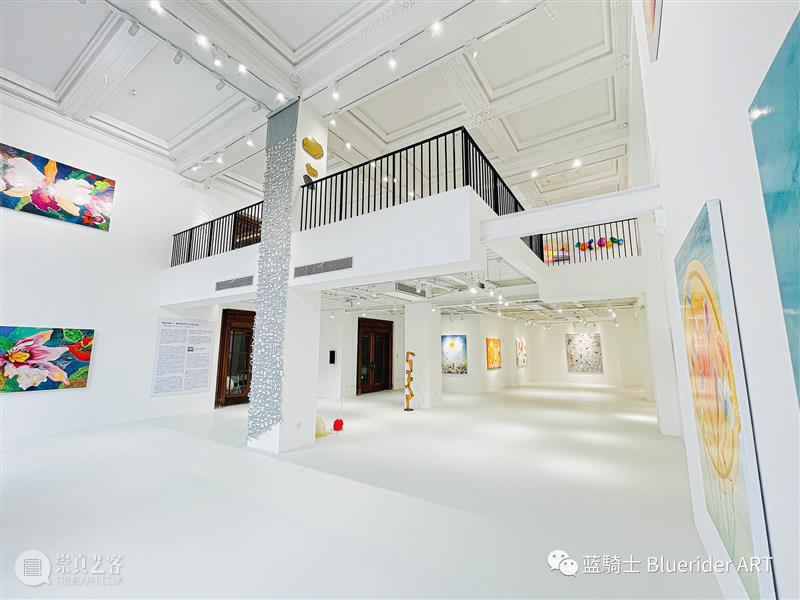 BlueriderDaily 一条直播回放 New LUXE LUXE 程序 创办人 wang 群展 导览 艺术家 作品 理念 之后 崇真艺客
