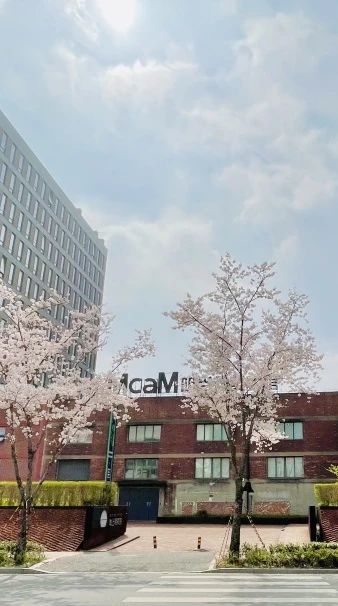 McaM 招聘丨公共教育部主管 / 前台运营兼职 McaM 前台 教育部 当代美术馆 上海明园集团 当代 艺术 中心 视觉 基础 崇真艺客