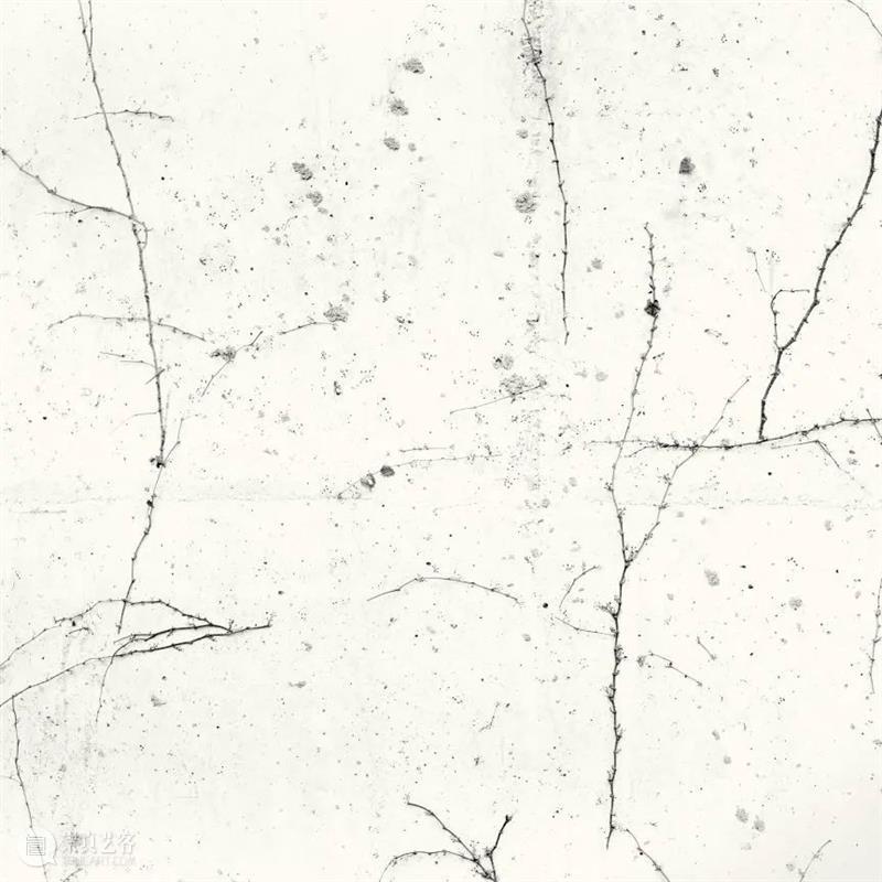 【展讯】徘徊久——具本昌摄影（1990-2021）| 北京  三影堂摄影艺术中心 具本昌摄影 北京 展讯 艺术家 具本昌 总监 荣荣映里 学术 顾铮 策展人 崇真艺客