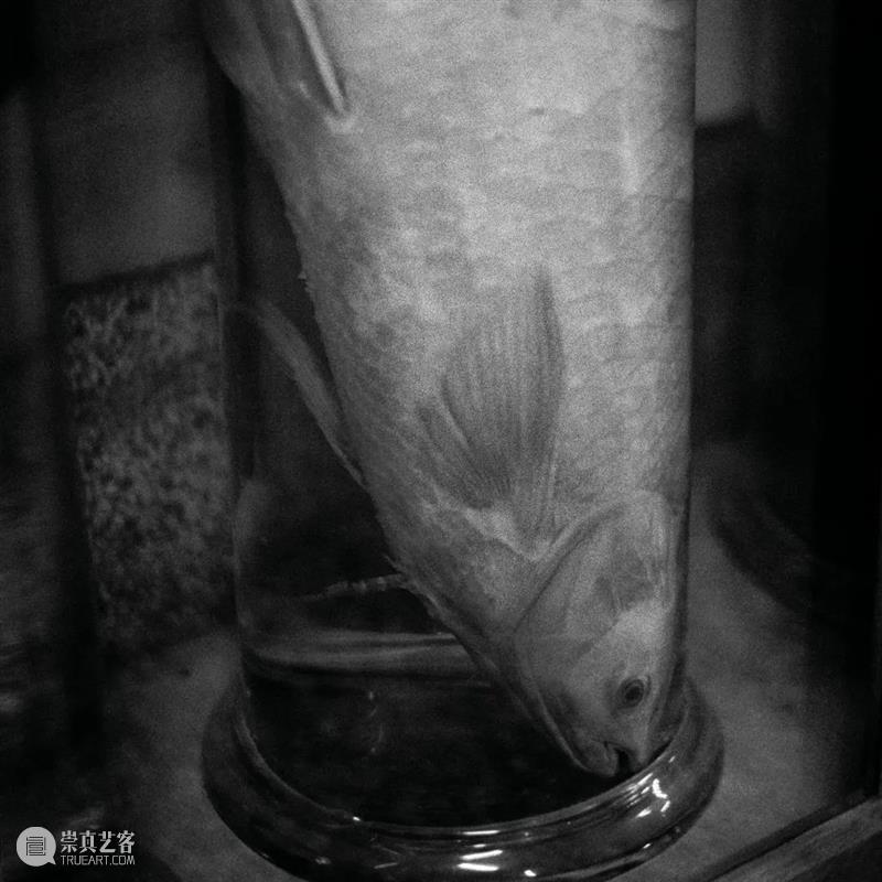 【展讯】徘徊久——具本昌摄影（1990-2021）| 北京  三影堂摄影艺术中心 具本昌摄影 北京 展讯 艺术家 具本昌 总监 荣荣映里 学术 顾铮 策展人 崇真艺客