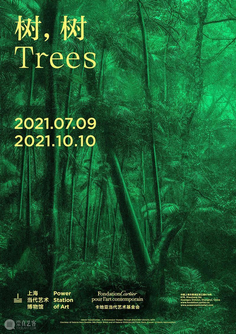 看「树，树」的时候，我们在看什么 热点聚焦  上海当代艺术博物馆 卡地亚当代艺术基金会 树，树 崇真艺客