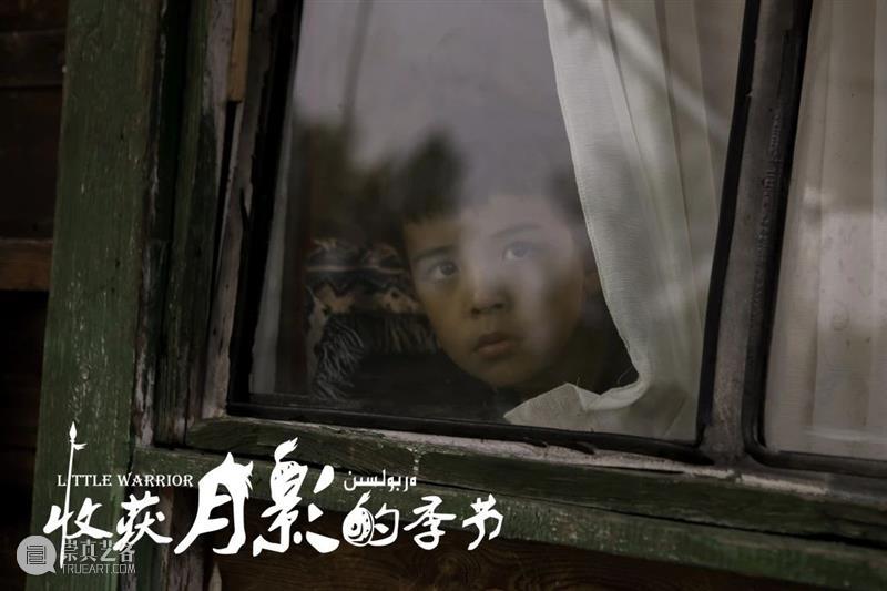 乌鲁木齐电影周末 | 限时放映20部国际获奖短片 短片 国际 电影 乌鲁木齐 新疆 青年 影展 本土 单元 影片 崇真艺客