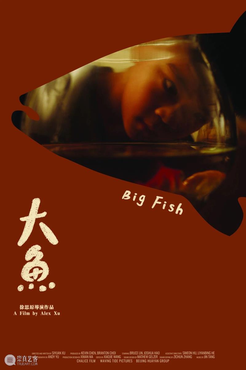 乌鲁木齐电影周末 | 限时放映20部国际获奖短片 短片 国际 电影 乌鲁木齐 新疆 青年 影展 本土 单元 影片 崇真艺客