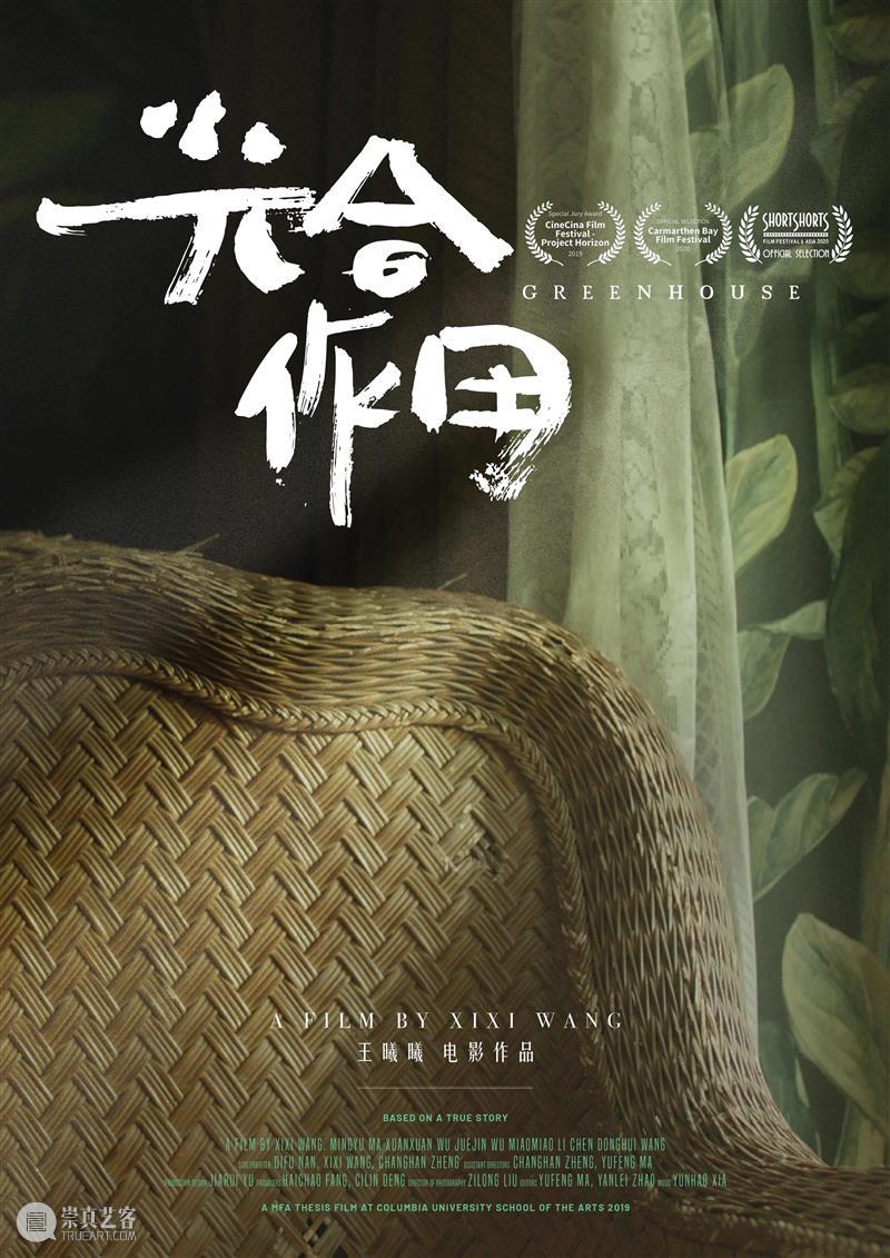 乌鲁木齐电影周末 | 限时放映20部国际获奖短片 短片 国际 电影 乌鲁木齐 新疆 青年 影展 本土 单元 影片 崇真艺客