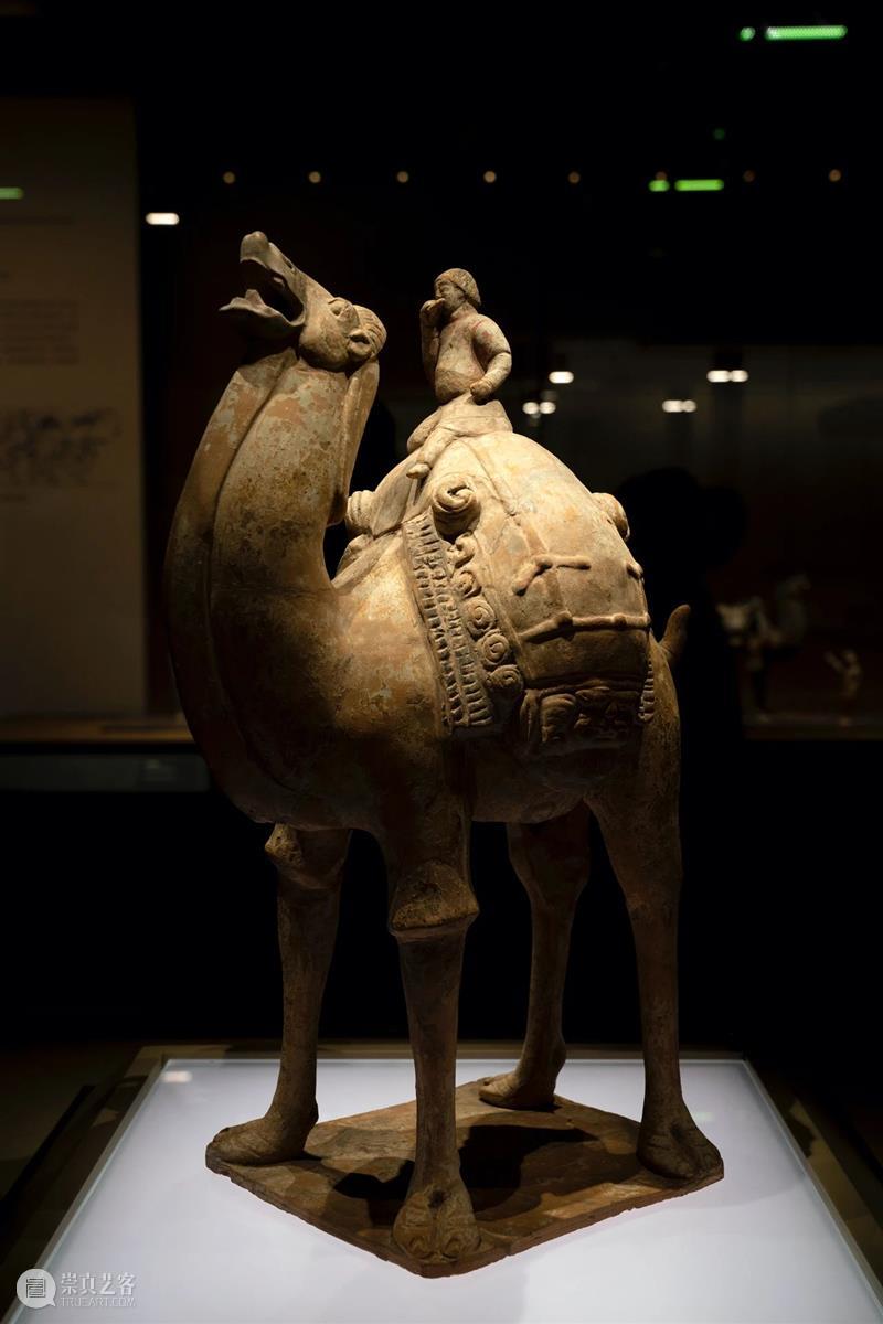 山西博物院民族熔炉：从出土文物看民族大融合 民族 民族大融合 山西博物院 熔炉 文物 山西北通 塞外 草原 中原 腹地 崇真艺客