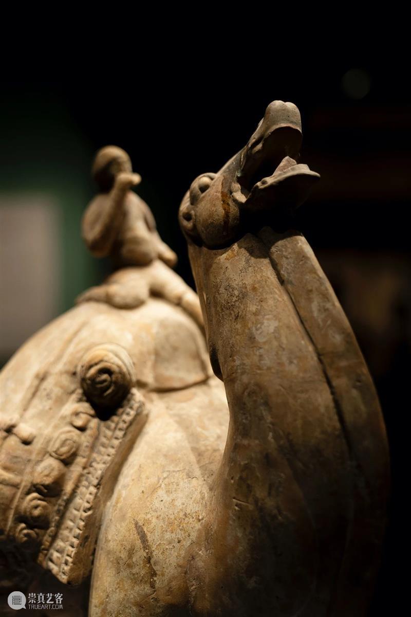 山西博物院民族熔炉：从出土文物看民族大融合 民族 民族大融合 山西博物院 熔炉 文物 山西北通 塞外 草原 中原 腹地 崇真艺客