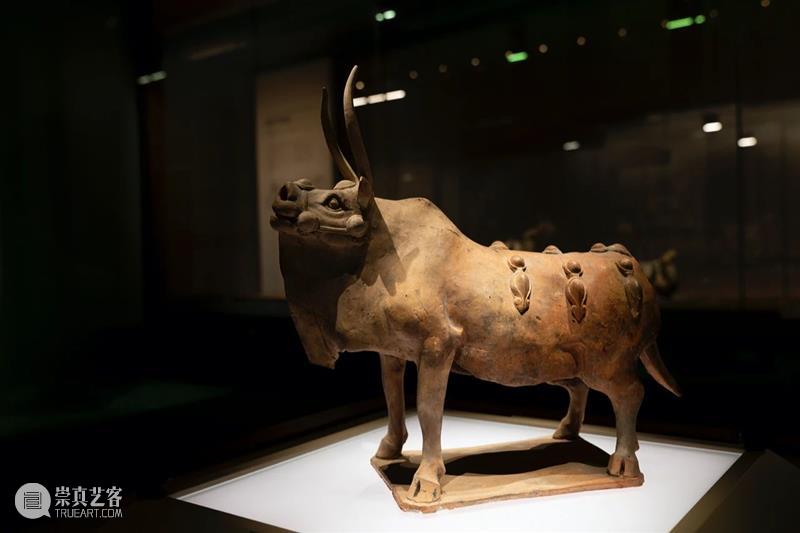 山西博物院民族熔炉：从出土文物看民族大融合 民族 民族大融合 山西博物院 熔炉 文物 山西北通 塞外 草原 中原 腹地 崇真艺客