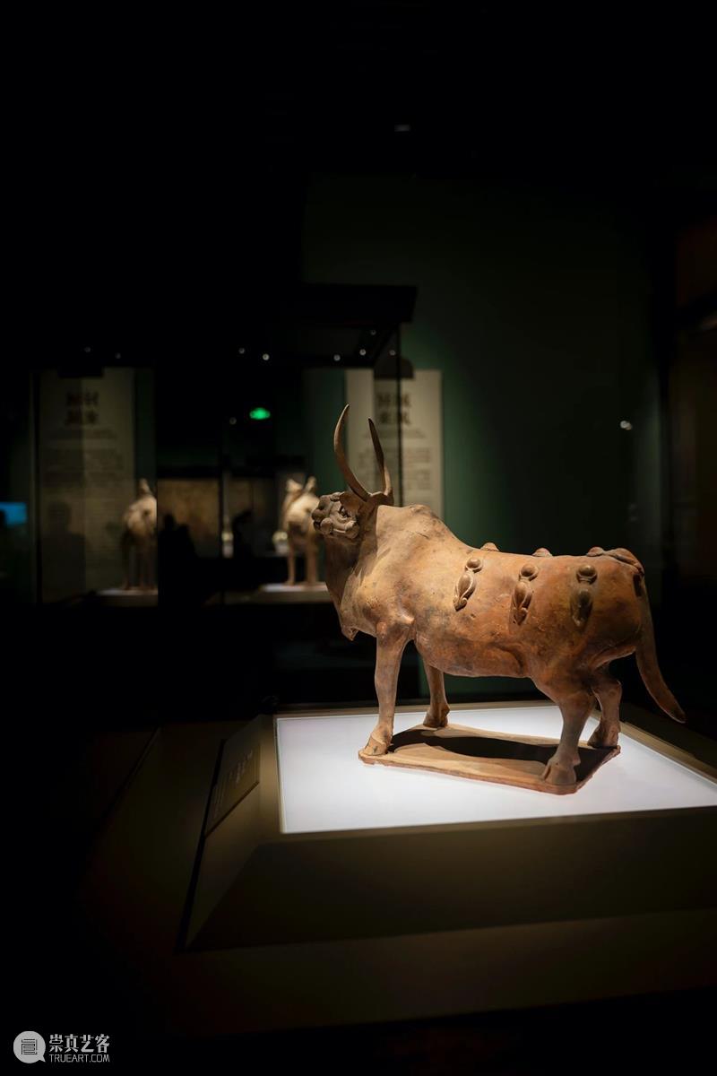 山西博物院民族熔炉：从出土文物看民族大融合 民族 民族大融合 山西博物院 熔炉 文物 山西北通 塞外 草原 中原 腹地 崇真艺客