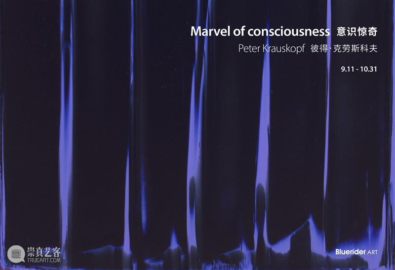 BlueriderDaily 台北·敦仁 新展预告 Marvel of consciousness 意识惊奇 视频资讯 蓝騎士 Bluerider ART 台北 敦仁 意识 预告片 画布 Peter 彼得 克劳斯 科夫 consciousness9.11 崇真艺客