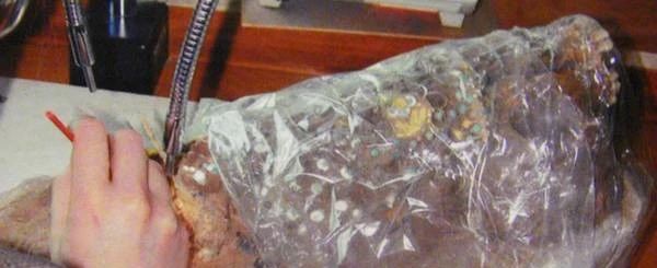 手中千年物 | 中国十大文物修复案例 文物 手中 中国 案例 上方 青铜器 账号 木雕 文化 知识 崇真艺客