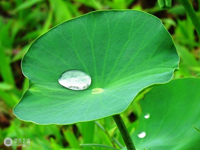 这双运动鞋,竟然遇水秒弹开,雨天也能大胆穿! 运动鞋 雨天 脚汗 脚掌 心情 CARTELO 卡帝乐 跑鞋 下雨天 马路 崇真艺客