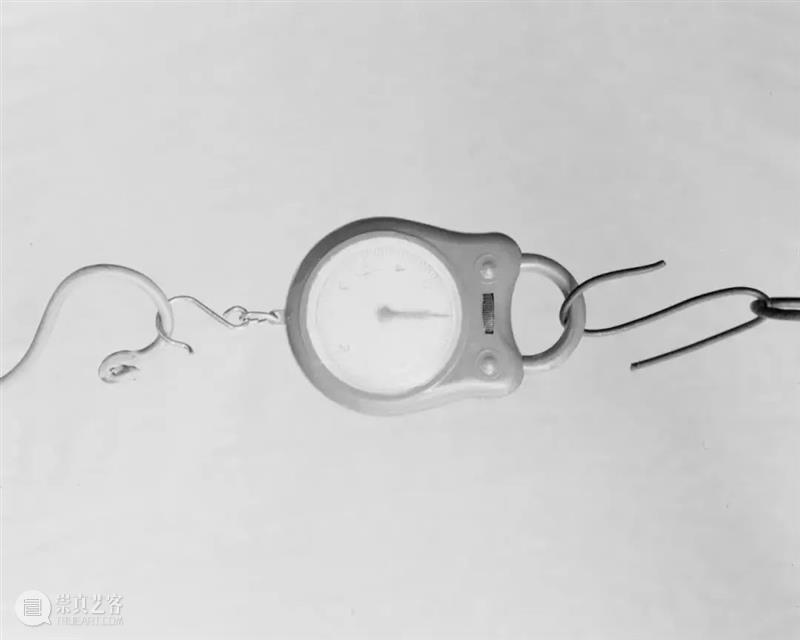 螺旋 | 我个人更喜欢充满瓶颈和挣扎的创作过程 螺旋 过程 瓶颈 个人 木格堂 计划 艺术家 空间 影像 媒介 崇真艺客