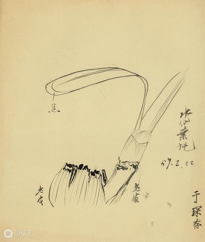 于非闇谈从临摹中学到的花鸟画 于非闇 花鸟画 中学 先生 中国 以后 工笔 代表性 画家 作品 崇真艺客