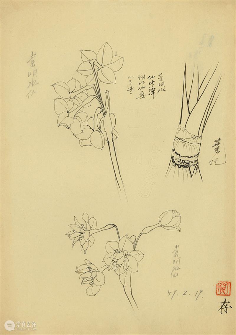 于非闇谈从临摹中学到的花鸟画 于非闇 花鸟画 中学 先生 中国 以后 工笔 代表性 画家 作品 崇真艺客