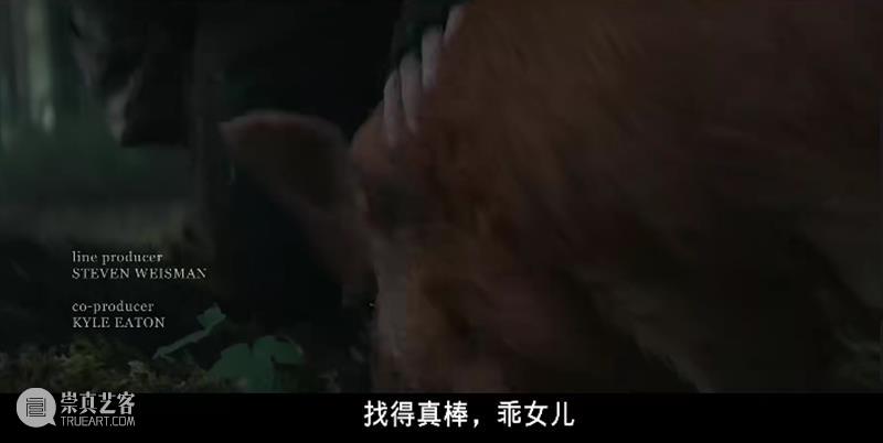 他拍了这么多烂片，我却讨厌不起来 烂片 上方 影院 页面 右上 星标 尼古拉斯·凯奇 前缀 凯奇 早年 崇真艺客