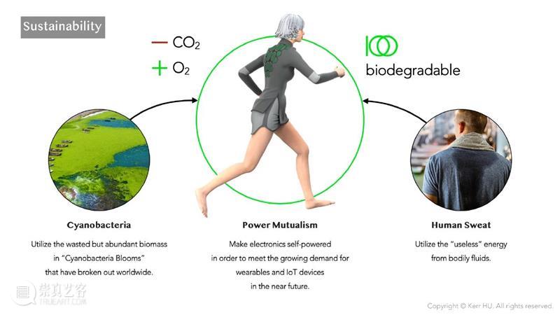 华西动力：具有生物质燃料锅炉、新式水冷炉排等发明专利、实用新式专利技能300多项