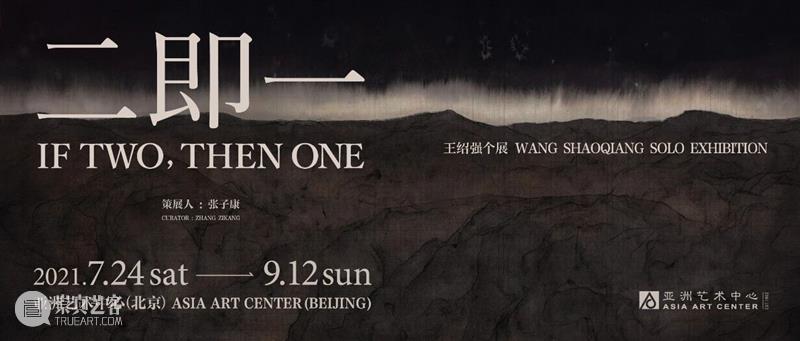 亚洲评论 | 王绍强作品《列宿垂象》系列 崇真艺客