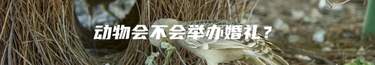开学季买书冲冲冲! 开学季 天猫 好书 孩子 中国 国家 地理 手绘地图 图片 思维 崇真艺客