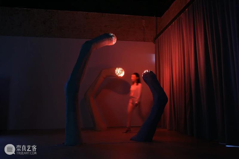 户尔北京｜「行为之物：日常的实践」正在展出 行为 户尔 北京 Objects the Everyday 艺术家 Artists纳迪娅 阿布特 Abt琼 崇真艺客