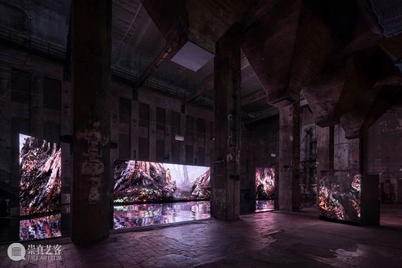 装置 | 通过 3D 动画、声音作品和沉浸式装置来讲述环境故事 作品 动画 声音 装置 环境 故事 上方 中国舞台美术学会 右上 星标 崇真艺客