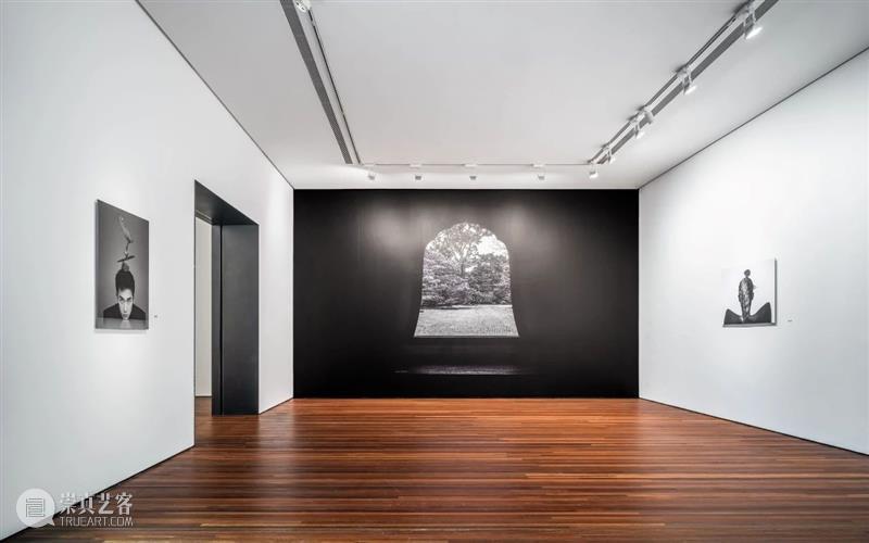 「松」展览 | 东方禅意与西方哲思“之间”的碰撞 之间 东方 禅意 西方 哲思 艺术家 陈漫 宋易格 双人展 倒计时 崇真艺客