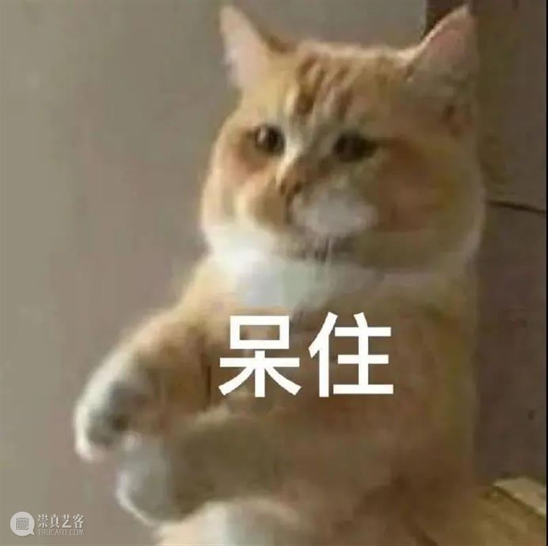段奕宏大鹏《双探》定档;《长津湖》定档国庆 段奕宏 大鹏 双探 长津湖 定档 影视 好剧 小豆 资讯 豆瓣 崇真艺客