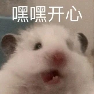 段奕宏大鹏《双探》定档;《长津湖》定档国庆 段奕宏 大鹏 双探 长津湖 定档 影视 好剧 小豆 资讯 豆瓣 崇真艺客
