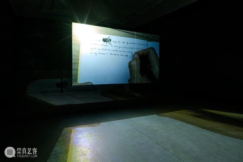 ≡ 阿比查邦·韦拉斯塔古丨个展“夜的外围”展览现场丨法国维勒班当代艺术中心 阿比 查邦 外围 现场 维勒班 当代 艺术 中心 法国 个展 崇真艺客