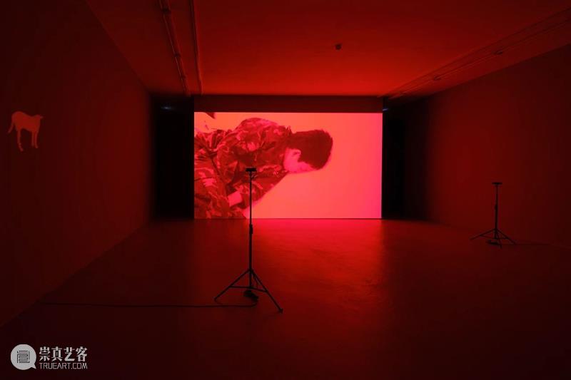 ≡ 阿比查邦·韦拉斯塔古丨个展“夜的外围”展览现场丨法国维勒班当代艺术中心 阿比 查邦 外围 现场 维勒班 当代 艺术 中心 法国 个展 崇真艺客