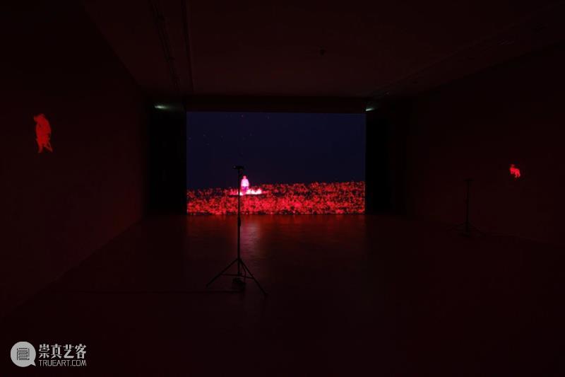≡ 阿比查邦·韦拉斯塔古丨个展“夜的外围”展览现场丨法国维勒班当代艺术中心 阿比 查邦 外围 现场 维勒班 当代 艺术 中心 法国 个展 崇真艺客