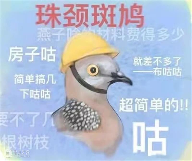 “这年头，真是什么邻居都有！” 邻居 小时候 小伙伴们 邻居们 周围 种子 树叶 野花 果实 宝藏 崇真艺客