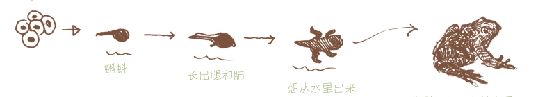 “这年头，真是什么邻居都有！” 邻居 小时候 小伙伴们 邻居们 周围 种子 树叶 野花 果实 宝藏 崇真艺客