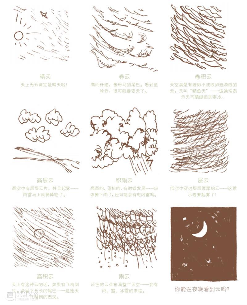 “这年头，真是什么邻居都有！” 邻居 小时候 小伙伴们 邻居们 周围 种子 树叶 野花 果实 宝藏 崇真艺客