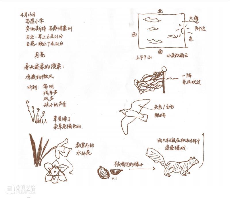“这年头，真是什么邻居都有！” 邻居 小时候 小伙伴们 邻居们 周围 种子 树叶 野花 果实 宝藏 崇真艺客