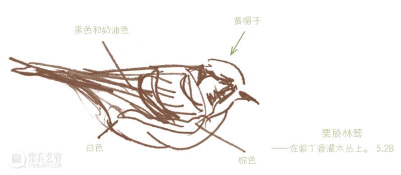 “这年头，真是什么邻居都有！” 邻居 小时候 小伙伴们 邻居们 周围 种子 树叶 野花 果实 宝藏 崇真艺客